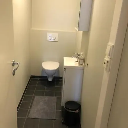 Vetrlidsalmenningen Apartamento *